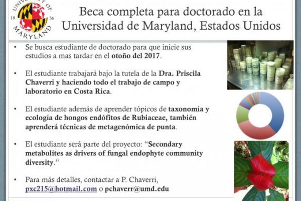 Beca completa para doctorado en la Universidad de Maryland, Estados Unidos